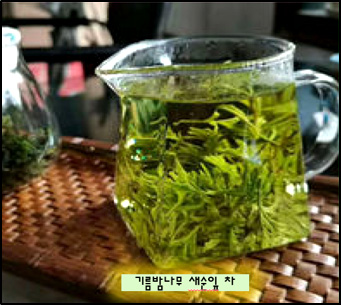 유로신(문관과) 차